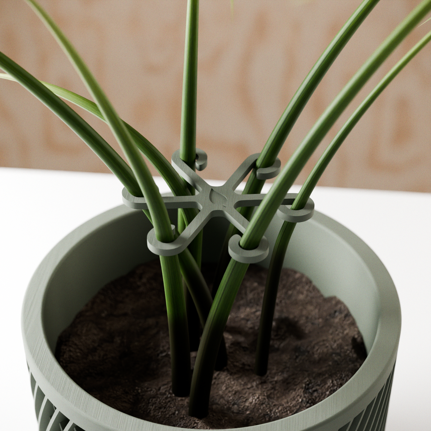 Climbing Plant Stem Support Stakes-1