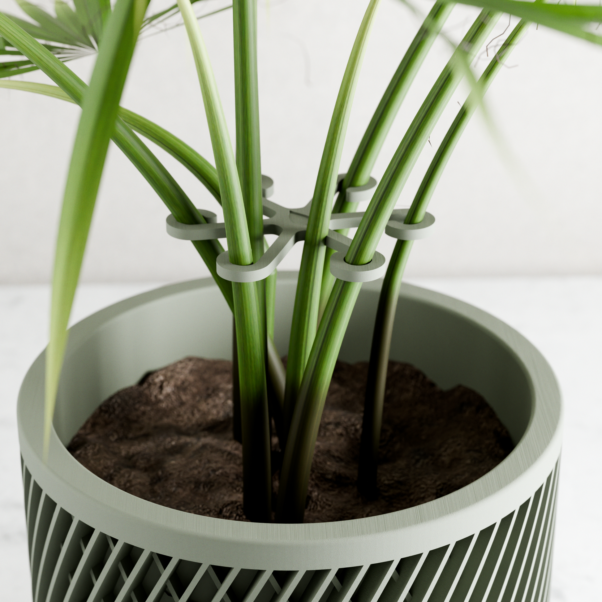 Climbing Plant Stem Support Stakes-2