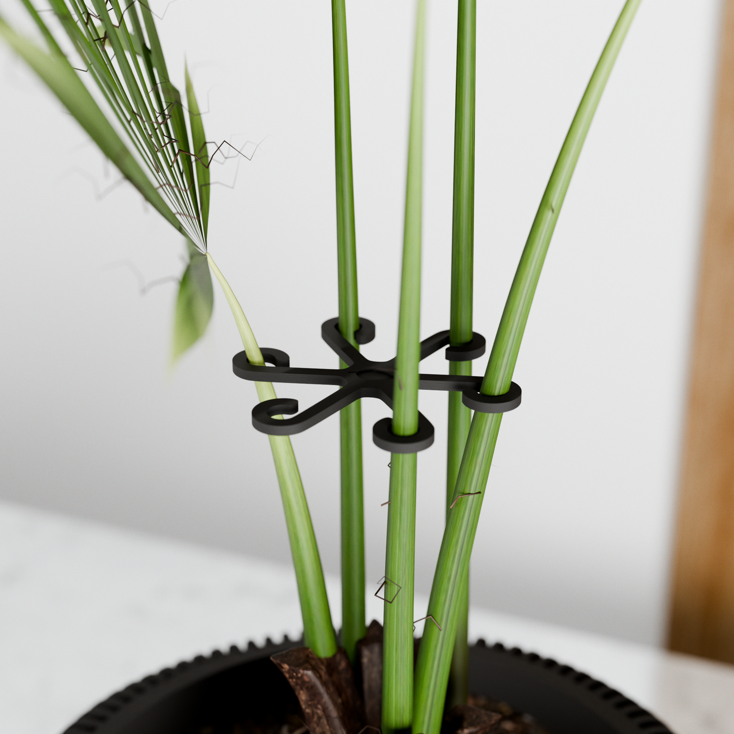 Climbing Plant Stem Support Stakes-5