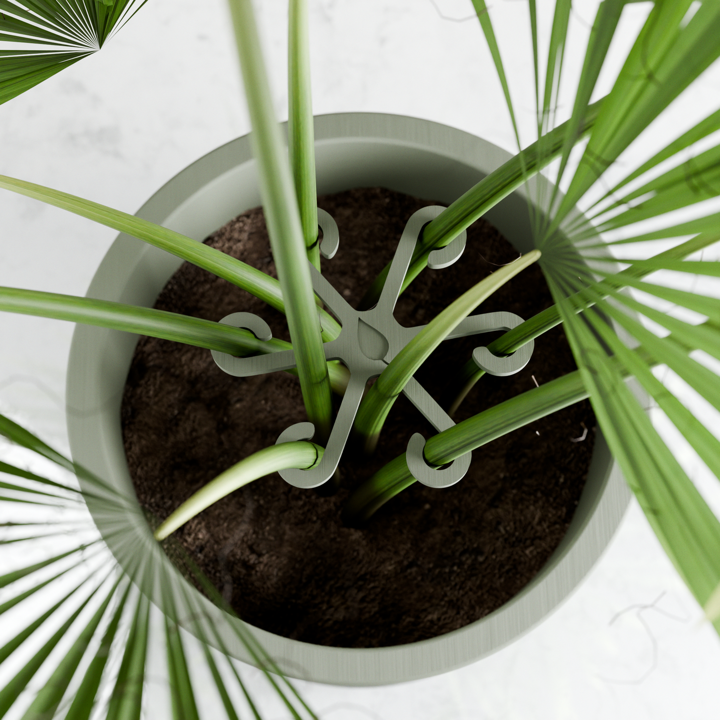 Climbing Plant Stem Support Stakes-7