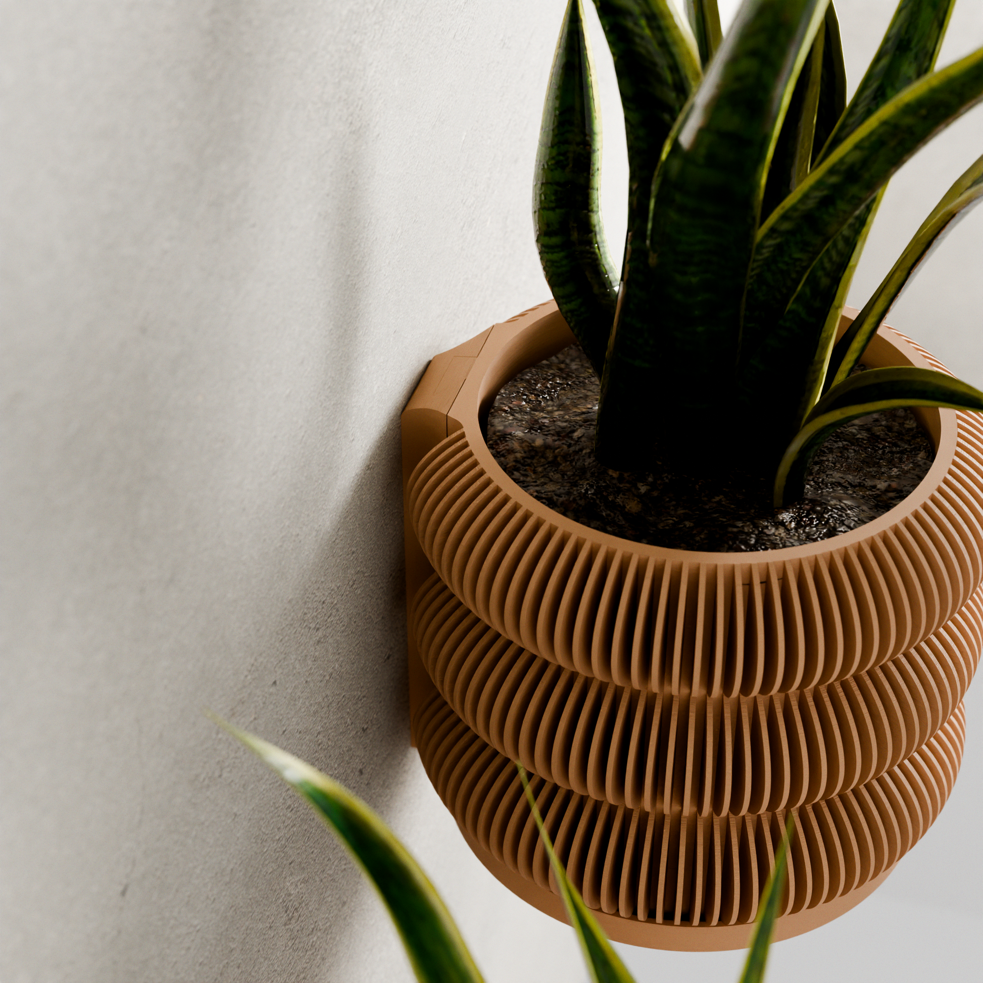Wall Planter - BUBBLES-2