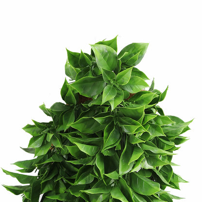 Artificial Dense Hanging Flowering Pothos Bushes – Vivid Green UV Resistant & Fire Rated | 10.6in x 28.5in (27cm x 72cm Each)-2