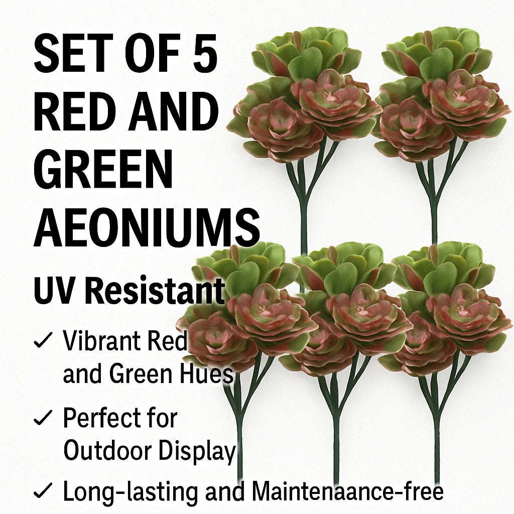 Set of 5 Red and Green Aeoniums Succulent Plants – 30cm / 11.8" UV Resistant-0